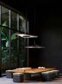Soleil Noir Suspension